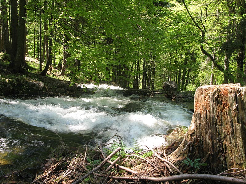 Oberseeabfluß